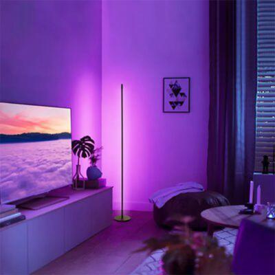 China High Quality Custom Tuya Smart Minimalist Home Living Room Hotel Modern Indoor Standing Led Corner Floor Lamp for sale