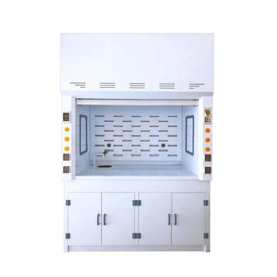 China Laboratory Furniture Steel PP Epoxy Resin Safe Chemical Perchloric Fume Hood with Pegboard for sale