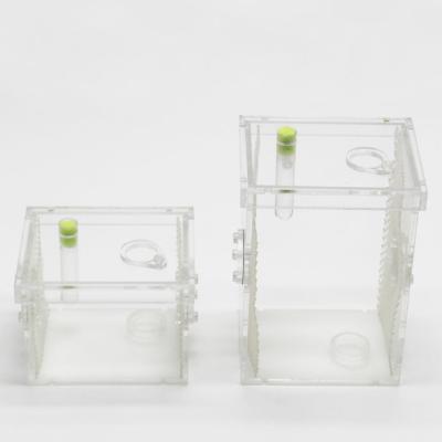 China Viable Reptile Clear Box Acrylic Pet Insect Breeding Box for sale