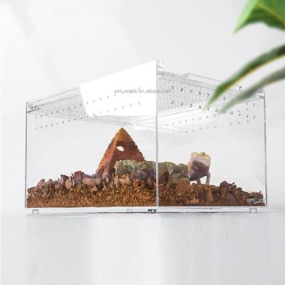 China Assembled Design Customized Clear Acrylic Mini Greenhouse Pet Reptile Display Case for sale