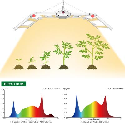 China Seed starting grow light led indoor plants lm301b full spectrum led grow light 1000w for sale