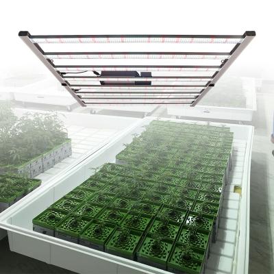 China High power spectrum led plant light 600w foldable lm301h lm301b led grow light full spectrum led grow light bar for indoor plants for sale