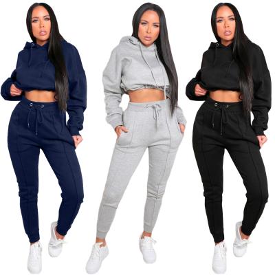 China Dusty Mint Adjustable Clean Design Gym Wear Fitness Women Sport Anti-Shrink Cotton Cropped Hoodie for sale