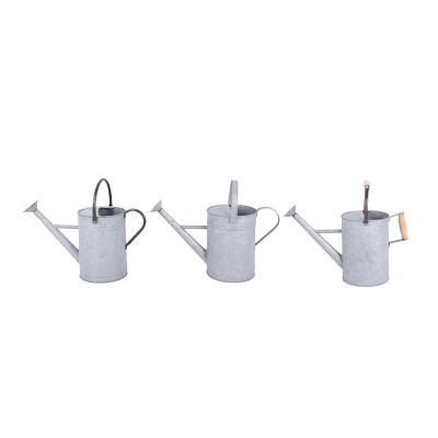 China Greenhouse Home Gardening OEM Customize Manufacturers To Grade Popular Water Flower Galvanized Mini Watering Can For Modern Home Gardening for sale