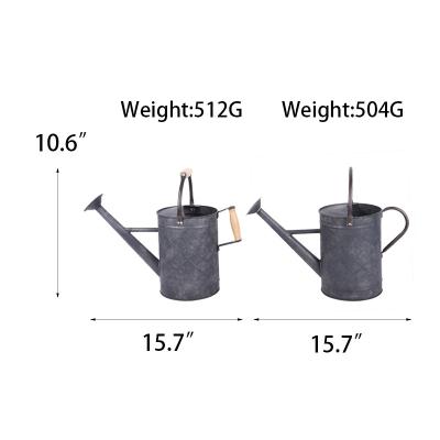 China Greenhouse Home Gardening OEM Customize Manufacturers To Grade Popular Water Flower Galvanized Mini Watering Can For Modern Home Gardening for sale