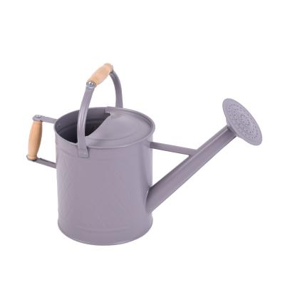 China Greenhouse Home Gardening OEM Customize Manufacturers Decorative Antique Round Galvanized Zinc Metal Purple Watering Can for sale