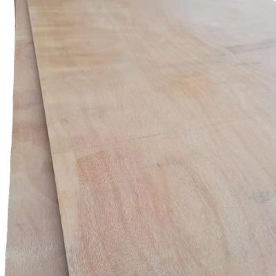 China High quality gum poplar plywood of traditional structural plywood and non-structural plywood for sale