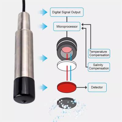 China IP68 DO Measurement Sensor Meter Probe for Accurate Water Dissolved Oxygen Measurement for sale