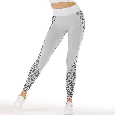 China Breathable Yoga Fitness Sports Gym Sport Suits Sportswear Women Workout Gaiters Pants Seamless Quick Dry for sale