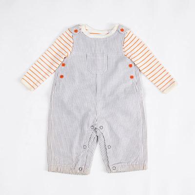 China Comfortable Spring Autumn Baby Clothing Sets Baby Clothing Sets Breathable Baby Clothing Set for sale