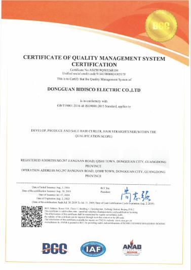 ISO9001 - Dongguan Bidisco Electric Co., Limited