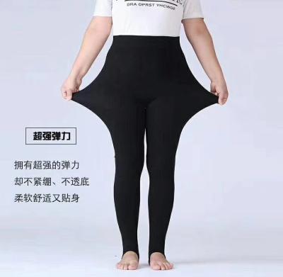 China Antibacterial High Quality High Elastic Seamless Seamless Black Plus Size Tights Winter Woman Gaiters for sale