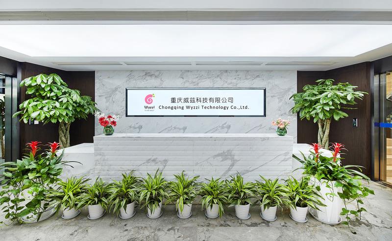 Verified China supplier - Chongqing Wyzzi Technology Co., Ltd.