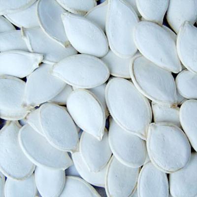 China Dry Chinese White Pumpkin Seeds for sale