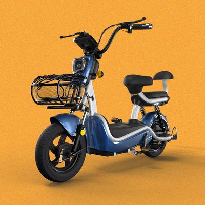 China Carbon steel vacuum tire front and rear double shock absorption buy electric bicycle for sale