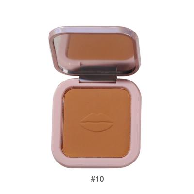 China OEM Wholesale Multifunctional Waterproof Face Makeup Lasting Oil-control No Logo Private Label Pressed Powder for sale