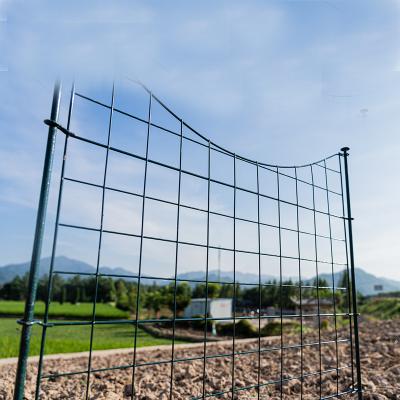 China Modern Garden Fence Climbing Frame PVC Coated Factory Climbing Frame for sale