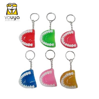 China Promotion Gift Wholesale Resin Dental Key Chain Tooth Shaped Key Chain For Gifts for sale