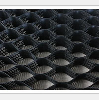 China Modern Design Style HDPE Geocell Honeycomb Sheet for Slope Protection in Hotel for sale