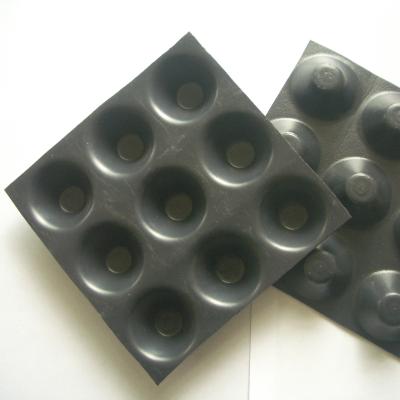 China Modern Design Style Drainage HDPE Composite Drainage Board for Building and Construction for sale