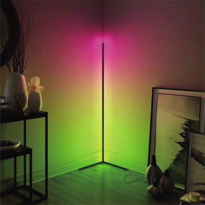 China Modern Smart LED Standing Corner Lamps 24w Home Decor Home Decor Minimalist LED Light Dreamy Corner Floor Lamp for sale