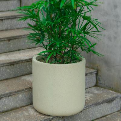 China Modern horticultural anti-aging cement pot environmental protection flower green plant pot for sale