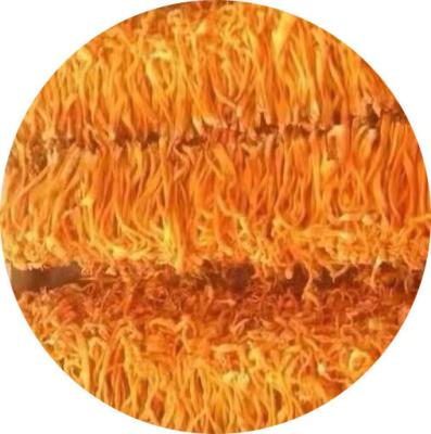 China Dry Grade A Dry Dehydrated Cordyceps Militaris Spreads Healthy Cordyceps for sale