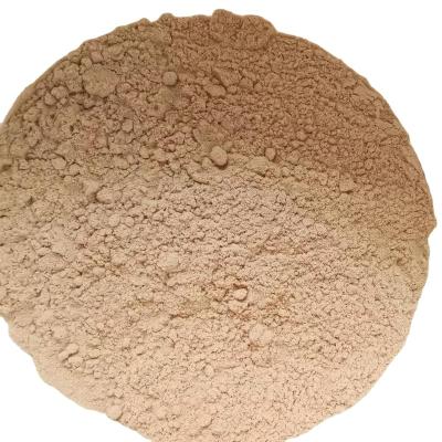 China Stem Dry Stem Dried Leg 3-5cm Stem Foot Mushroom Shiitake Mushroom China Dehydrated Shiitake Mushroom Stem Powder for sale