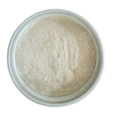 China Good Quality Natural Natural Ginseng Powder Lions Mane Mushroom Extract Hericium Erinaceus Extract for sale