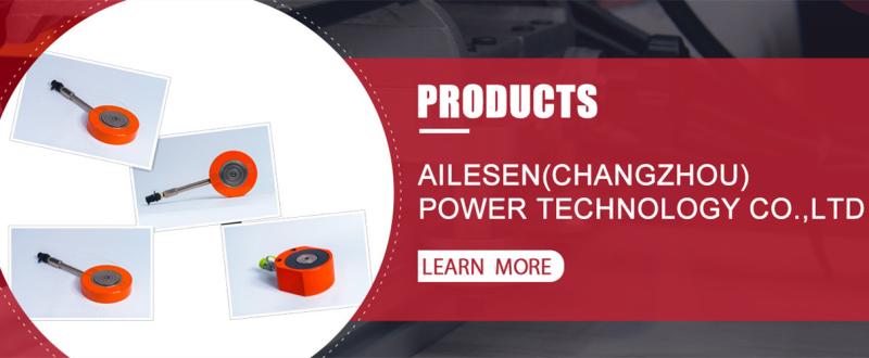 Fornitore cinese verificato - AILESEN(CHANGZHOU)POWER TECHNOLOGY CO.,LTD