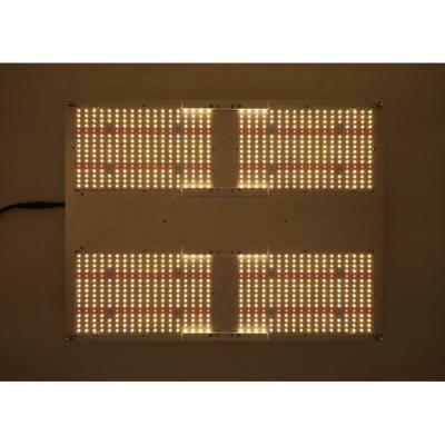 China Seed starting 480W FusionBrite lm301b IR quantum UV 550 v2 qb288 led to grow light for sale