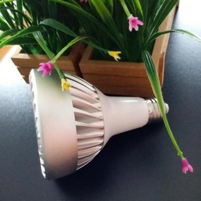 China LED PAR30 shop light 25W (no fan) for sale