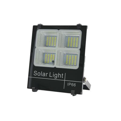 China Outdoor Garden Plant Supply High Quality Solar Motion Sensor Outdoor Lights Solar Powered Lights for sale