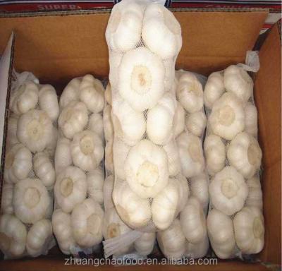 China Fresh pure white garlic with 10kg carton box for sale