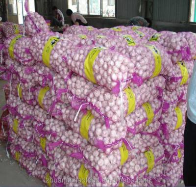 China Fresh fresh garlic packed in 10kg/mesh bag for sale