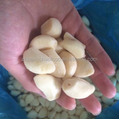 China FROZEN Garlic Price in China for sale