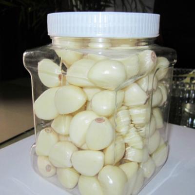 China Fresh Peeled Garlic Wholesale Price for sale