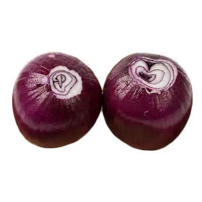 China New fresh cultured china fresh wholesaler 5cm to 7cm red onion price for sale