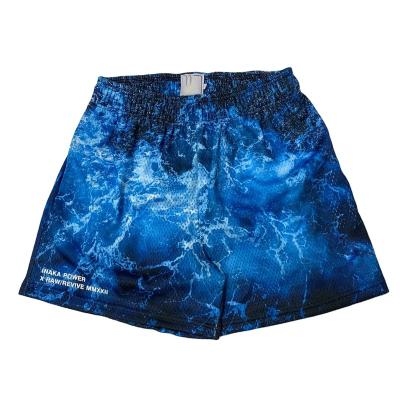 China QUICK DRY OEM High Quality Polyester  Mesh Regular Sport Shorts Customized Logo Printed Running Sport Pants For Men for sale