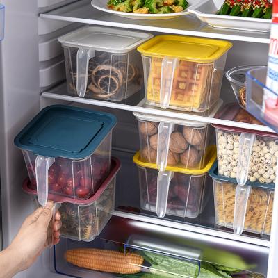 China Sustainable Refrigerator Food Storage Container Clear Plastic Vegetable Box With Lid for sale