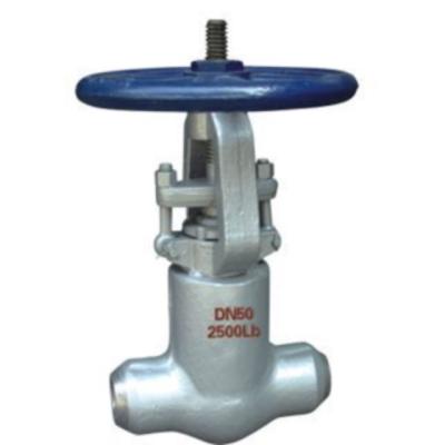 China ANSI standard api Z61Y 2500lb DN50 carbon steel 2 inch high quality high pressure welded gate valve for sale