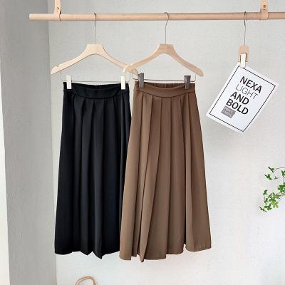 China 2022 new wholesale anti-static spring and autumn women's long skirts elegant pleated pencil skirt college style for girls for sale