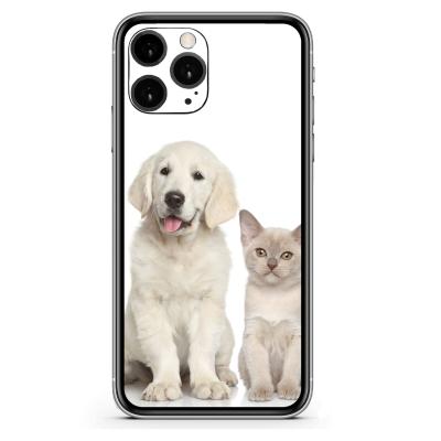 China CAT&DOG Cellphone Mobile Phone Relief Back Film Skin Sticker Back Screen Protector For iPhone 13 Pro Max for sale