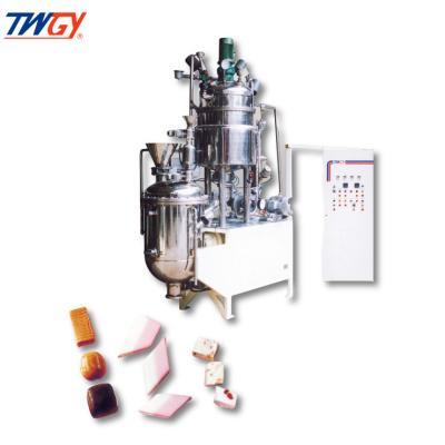 China TWGY Food Grade Food Grade Chocolate Sugar Syrup Electric Empty Double Cacao Sanitary Melt Mixing Preparation for sale