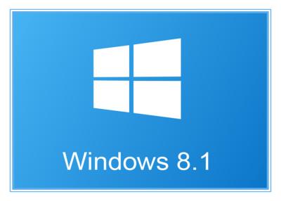 중국 데스크탑/노트북 온라인 활성화를 위한 Microsoft Windows 8.1 제품 열쇠 판매용