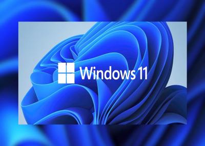 China UEFI OEM DVD Windows License Key Full Package TPM 2.0 Microsoft Windows 11 Pro for sale