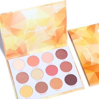 China 12 color eyeshadow makeup waterproof matte and metallic shimmer eyeshadow disc sold hot spot for sale