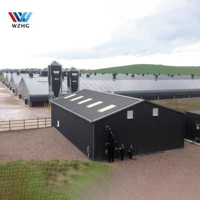 China House Steel Structure Steel Fabricated Part Engineering Prefab Poultry Farm Construction Chicken House for sale