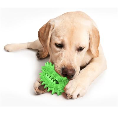 China Factory Price Viable Interactive Dental Care Dog Chew Toys Cactus Dog Toothbrush for sale