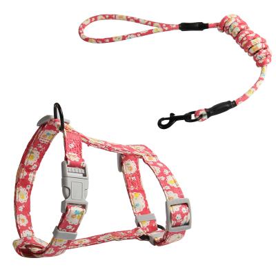 China Amazon Success Padded Outdoor Adjustable No-Pull Pet Training Step In Cat Dog Harness Dog Leash for sale